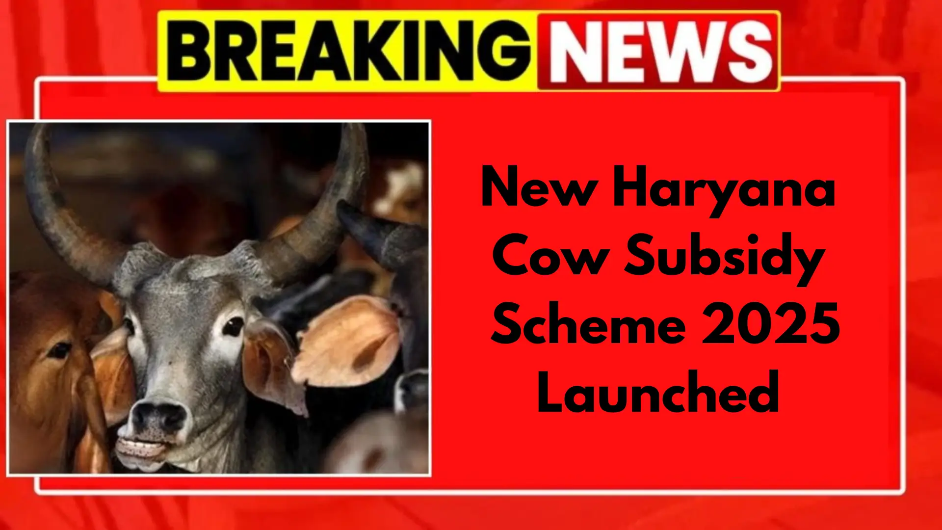 Haryana Cow Subsidy Scheme