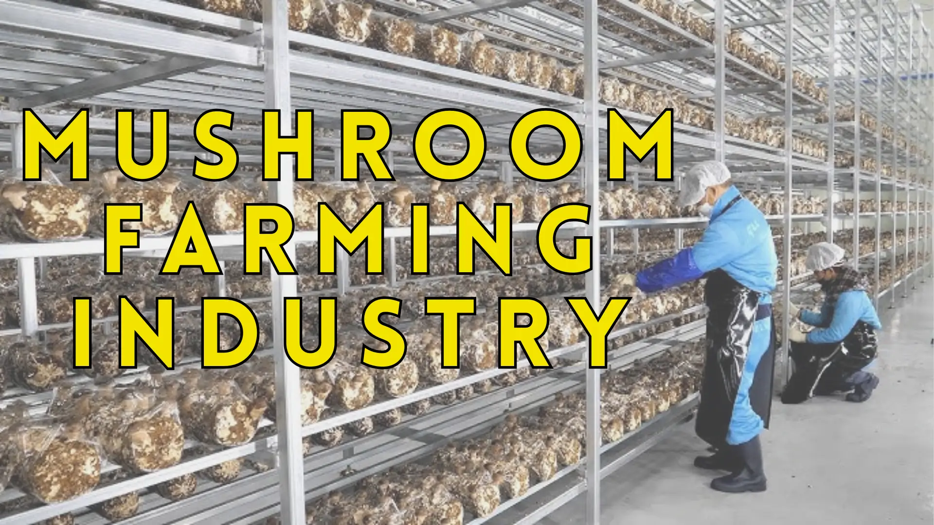 Mushroom Farming Industry